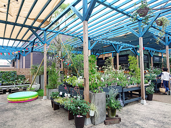 ファーマーズキッチン千葉