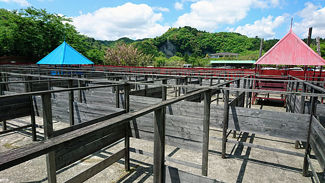 ロマンの森共和国