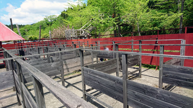 ロマンの森共和国