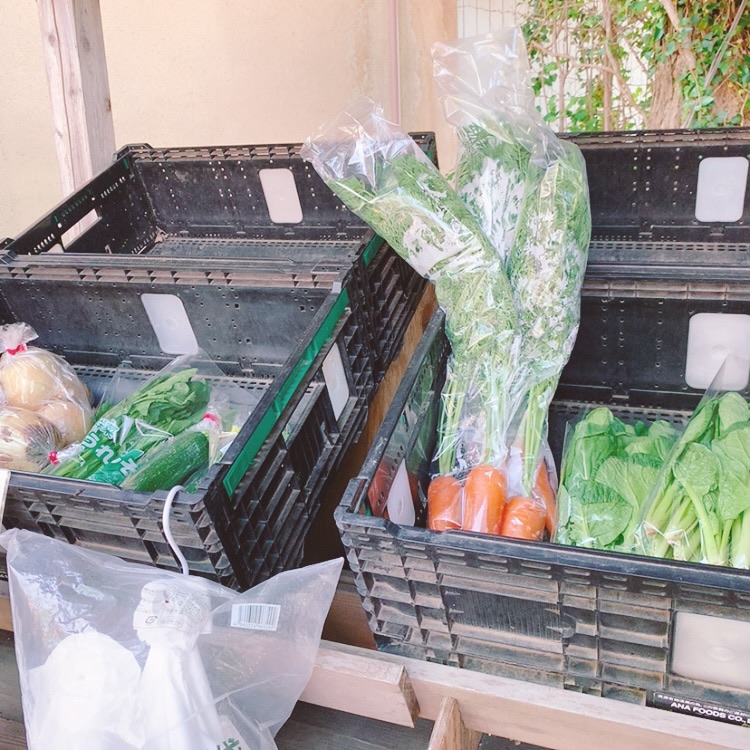 椿森コムナ　野菜直売