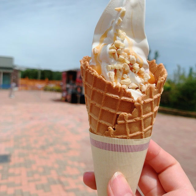 マザー牧場ドライブファーム